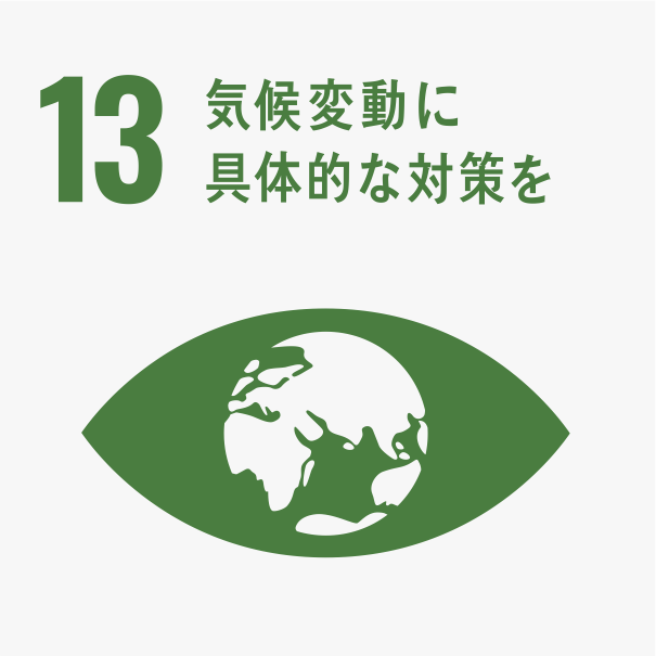 SDGs13